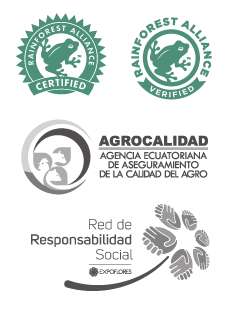 Wholesale Ecuadorian Roses